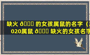 缺火 💐 的女孩属鼠的名字（2020属鼠 🐞 缺火的女孩名字）